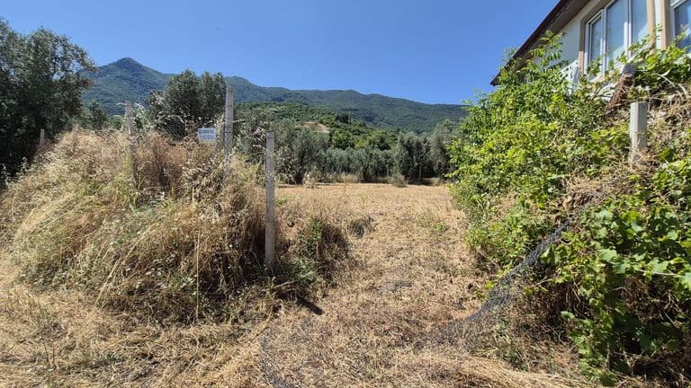 İZNİK GÖLÜ MANZARASIYLA DOĞANIN İÇİNDE HUZURLU YAŞAM FIRSATI | 502 m² SATILIK | ÖZEL KONUMLU ARAZİ
