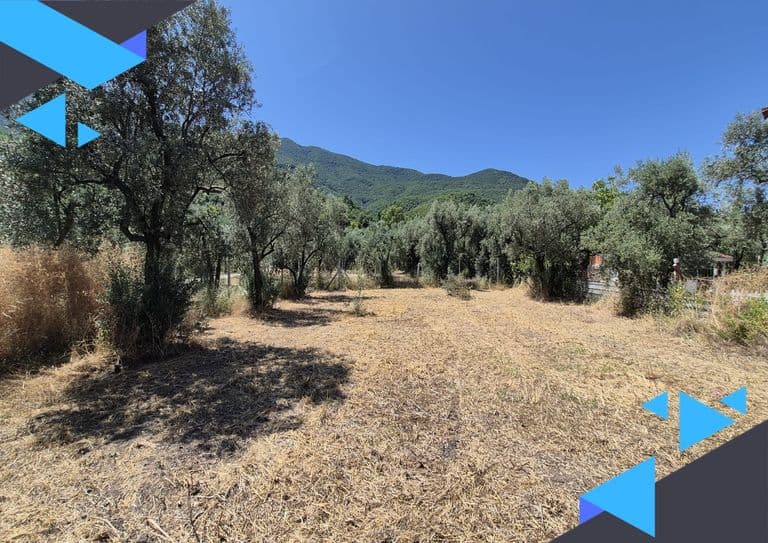 İZNİK GÖLÜ MANZARASIYLA DOĞANIN İÇİNDE HUZURLU YAŞAM FIRSATI | 502 m² SATILIK | ÖZEL KONUMLU ARAZİ