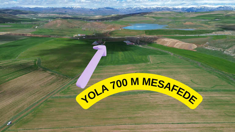 DORA - ANA YOLA 700M MESAFEDE İMARA SINIR FIRSAT TARLA