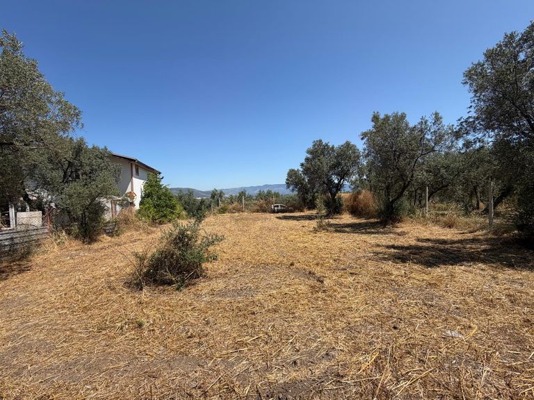 İZNİK GÖLÜ MANZARASIYLA DOĞANIN İÇİNDE HUZURLU YAŞAM FIRSATI | 502 m² SATILIK | ÖZEL KONUMLU ARAZİ