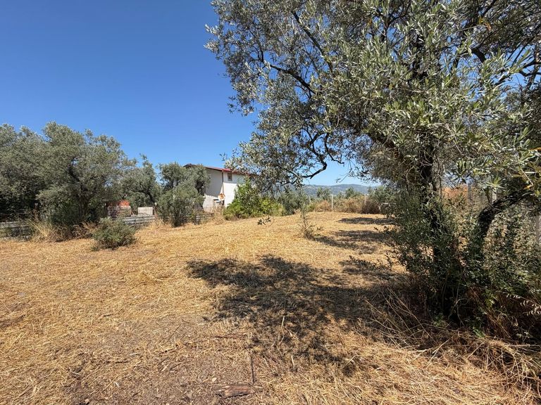 İZNİK GÖLÜ MANZARASIYLA DOĞANIN İÇİNDE HUZURLU YAŞAM FIRSATI | 502 m² SATILIK | ÖZEL KONUMLU ARAZİ