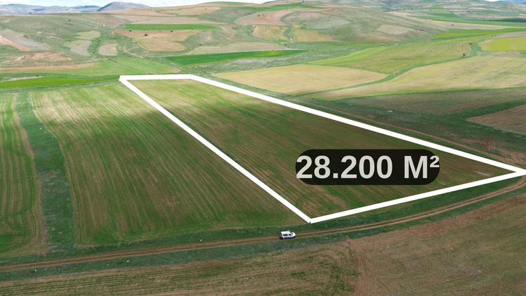 DORA - ANA YOLA 700M MESAFEDE İMARA SINIR FIRSAT TARLA
